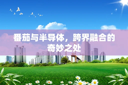 番茄与半导体，跨界融合的奇妙之处