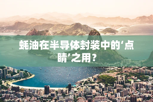 蚝油在半导体封装中的‘点睛’之用？