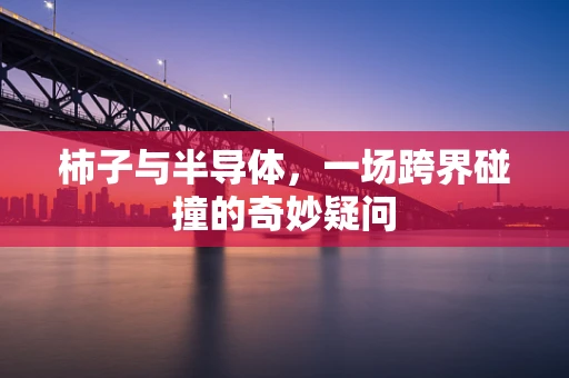 柿子与半导体，一场跨界碰撞的奇妙疑问