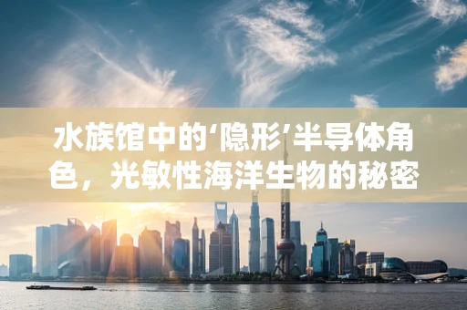 水族馆中的‘隐形’半导体角色，光敏性海洋生物的秘密
