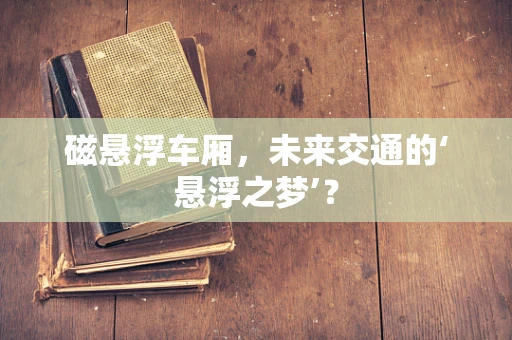 磁悬浮车厢，未来交通的‘悬浮之梦’？