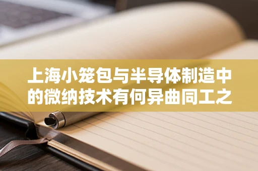 上海小笼包与半导体制造中的微纳技术有何异曲同工之处？