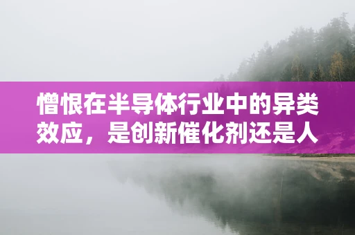 憎恨在半导体行业中的异类效应，是创新催化剂还是人际绊脚石？