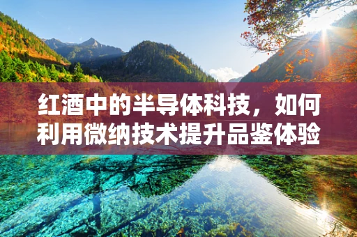红酒中的半导体科技，如何利用微纳技术提升品鉴体验？