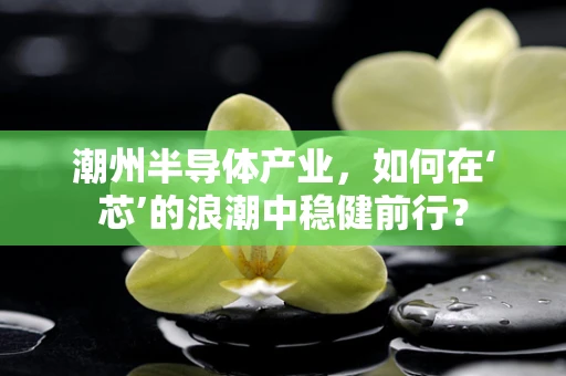 潮州半导体产业，如何在‘芯’的浪潮中稳健前行？