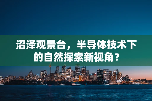 沼泽观景台，半导体技术下的自然探索新视角？