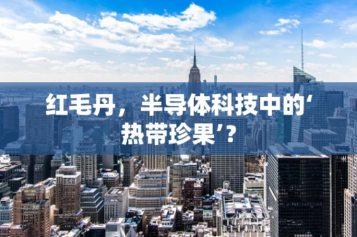 红毛丹，半导体科技中的‘热带珍果’？