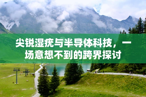 尖锐湿疣与半导体科技，一场意想不到的跨界探讨