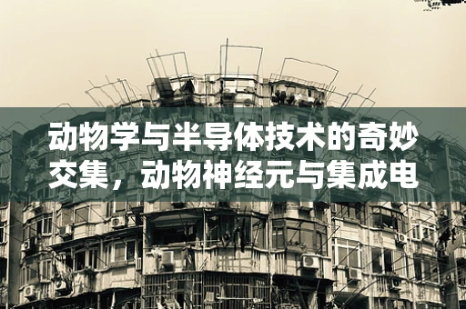 动物学与半导体技术的奇妙交集，动物神经元与集成电路的异同