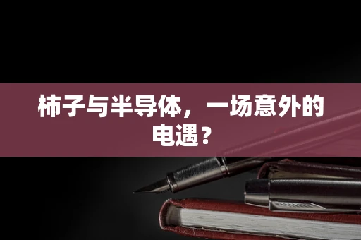 柿子与半导体，一场意外的电遇？