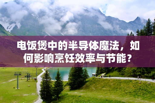 电饭煲中的半导体魔法，如何影响烹饪效率与节能？