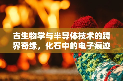古生物学与半导体技术的跨界奇缘，化石中的电子痕迹之谜