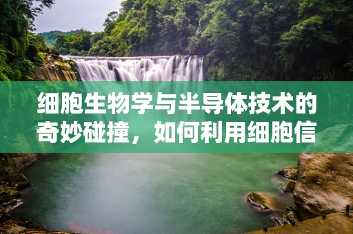 细胞生物学与半导体技术的奇妙碰撞，如何利用细胞信号通路优化半导体材料？