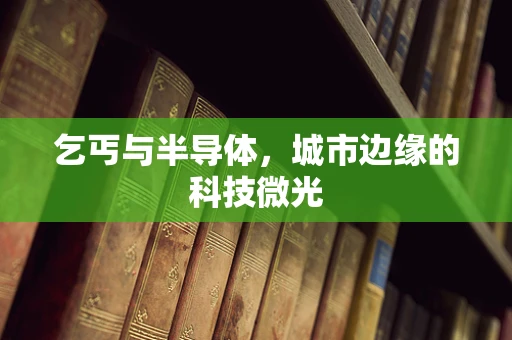 乞丐与半导体，城市边缘的科技微光