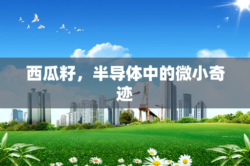 西瓜籽，半导体中的微小奇迹
