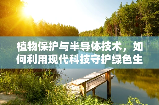 植物保护与半导体技术，如何利用现代科技守护绿色生命？