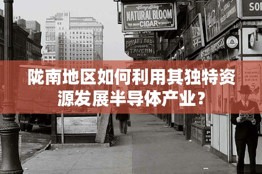 陇南地区如何利用其独特资源发展半导体产业？