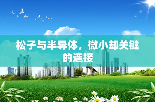 松子与半导体，微小却关键的连接