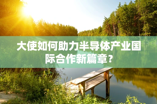 大使如何助力半导体产业国际合作新篇章？