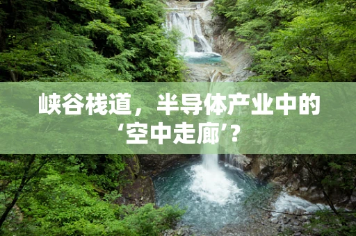 峡谷栈道，半导体产业中的‘空中走廊’？
