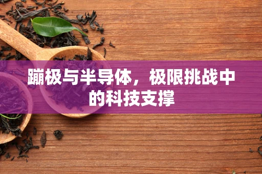 蹦极与半导体，极限挑战中的科技支撑