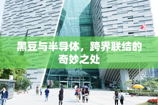 黑豆与半导体，跨界联结的奇妙之处