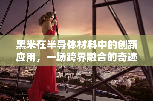 黑米在半导体材料中的创新应用，一场跨界融合的奇迹？