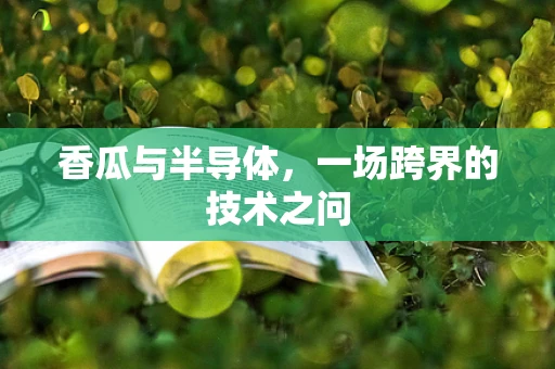 香瓜与半导体，一场跨界的技术之问
