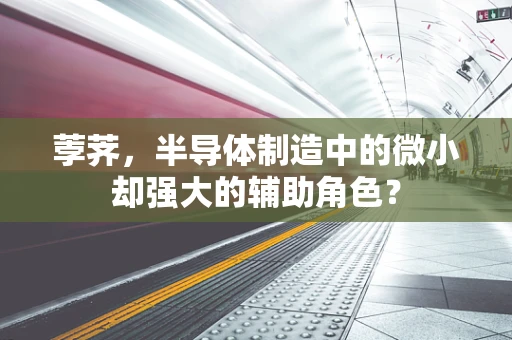 荸荠，半导体制造中的微小却强大的辅助角色？
