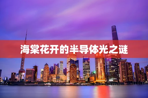 海棠花开的半导体光之谜