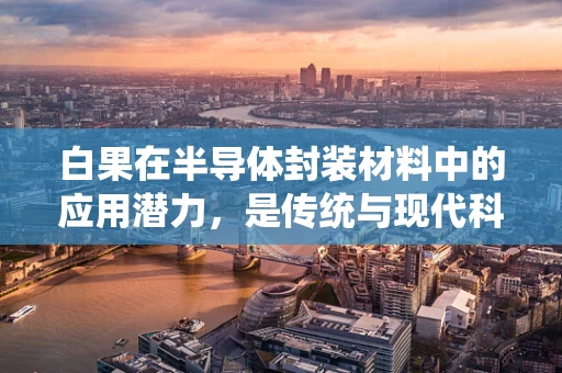 白果在半导体封装材料中的应用潜力，是传统与现代科技的完美融合吗？