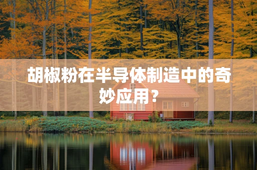 胡椒粉在半导体制造中的奇妙应用？