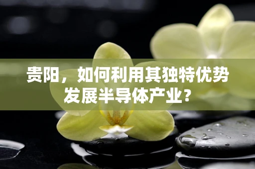 贵阳，如何利用其独特优势发展半导体产业？