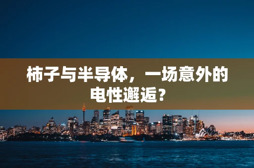 柿子与半导体，一场意外的电性邂逅？