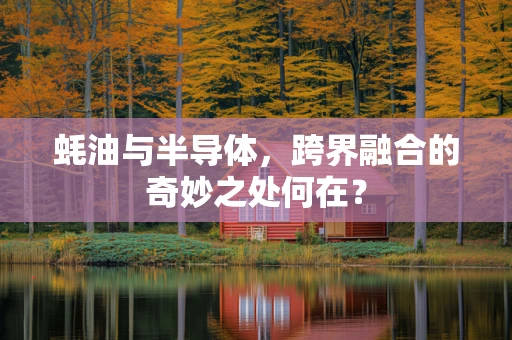 蚝油与半导体，跨界融合的奇妙之处何在？