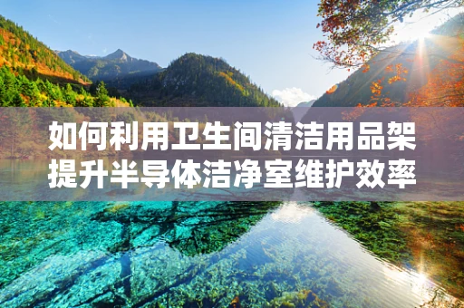 如何利用卫生间清洁用品架提升半导体洁净室维护效率？