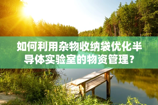 如何利用杂物收纳袋优化半导体实验室的物资管理？