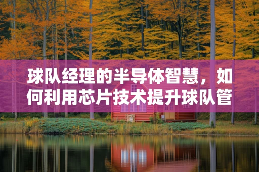 球队经理的半导体智慧，如何利用芯片技术提升球队管理效率？