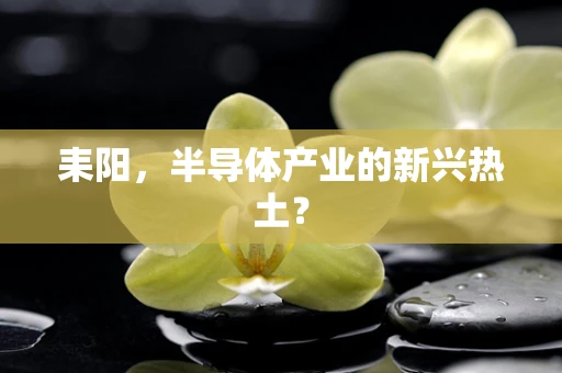 耒阳，半导体产业的新兴热土？