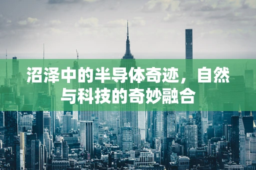 沼泽中的半导体奇迹，自然与科技的奇妙融合
