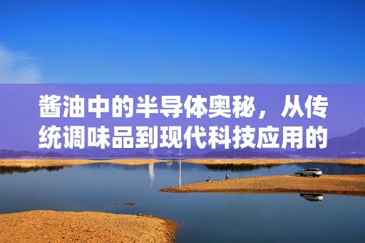 酱油中的半导体奥秘，从传统调味品到现代科技应用的跨界探索