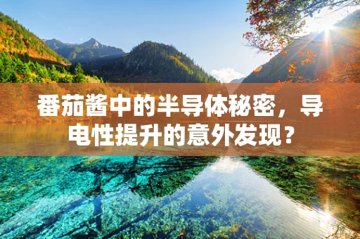 番茄酱中的半导体秘密，导电性提升的意外发现？