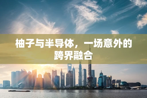 柚子与半导体，一场意外的跨界融合