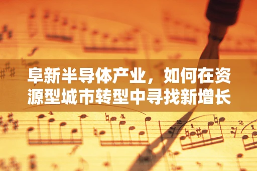 阜新半导体产业，如何在资源型城市转型中寻找新增长点？
