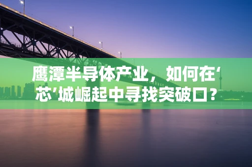 鹰潭半导体产业，如何在‘芯’城崛起中寻找突破口？