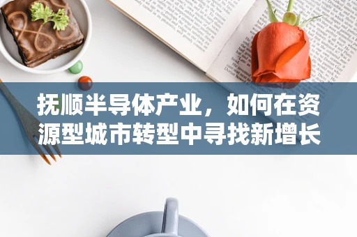 抚顺半导体产业，如何在资源型城市转型中寻找新增长点？