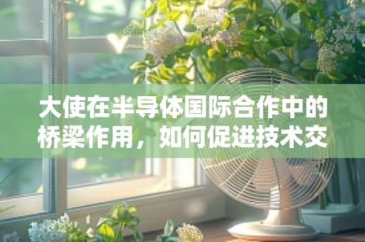 大使在半导体国际合作中的桥梁作用，如何促进技术交流与市场拓展？