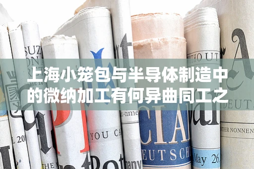 上海小笼包与半导体制造中的微纳加工有何异曲同工之妙？
