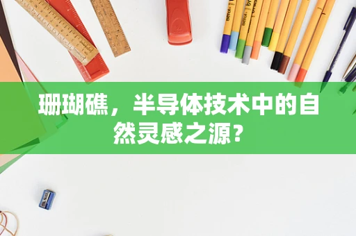 珊瑚礁，半导体技术中的自然灵感之源？