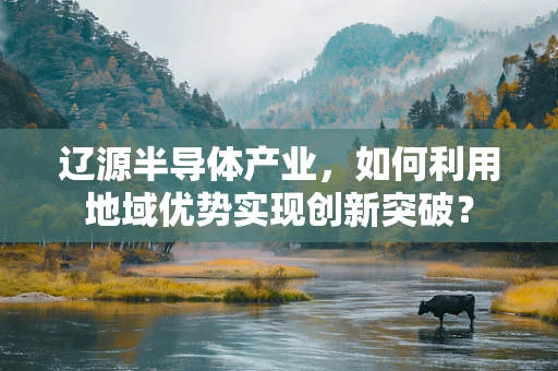 辽源半导体产业，如何利用地域优势实现创新突破？